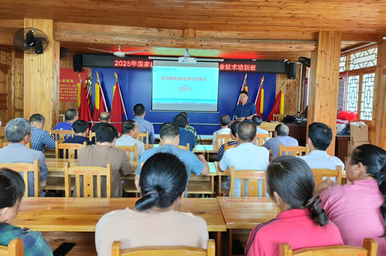 开展稻田养殖泥鳅培训👧🏽。彩神Vll官网-追求健康你我一起成长供图